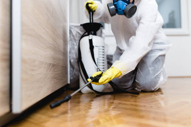Best Flea Control Services  in Mentor On The Lake, OH