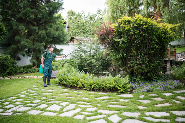 Best Pest Prevention Services  in Mentor On The Lake, OH