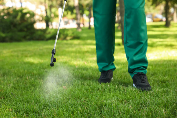 Reliable Mentor On The Lake, OH Pest Control Solutions