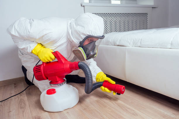 Best Local Pest Control Services  in Mentor On The Lake, OH