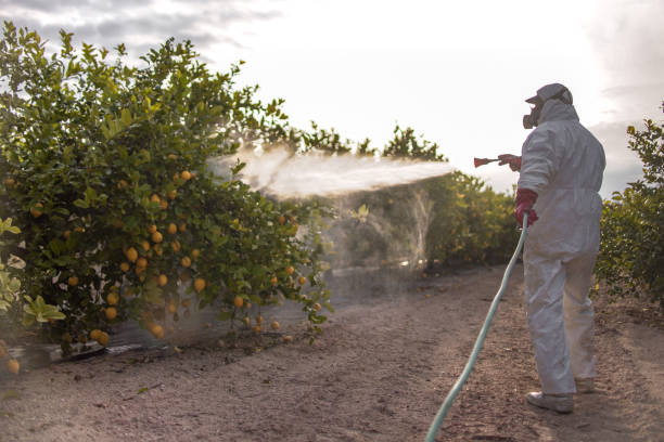 Best Residential Pest Control  in Mentor On The Lake, OH