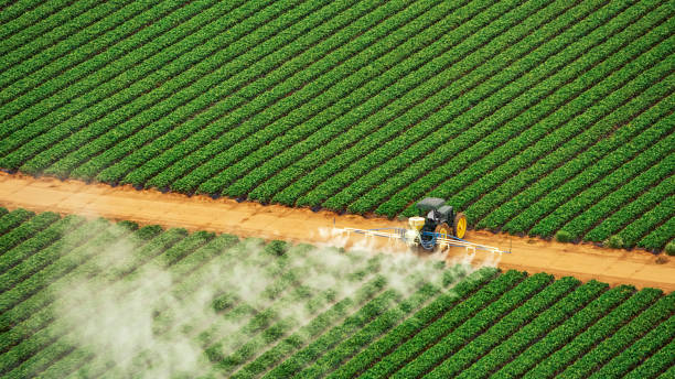Best Commercial Pest Control Services  in Mentor On The Lake, OH